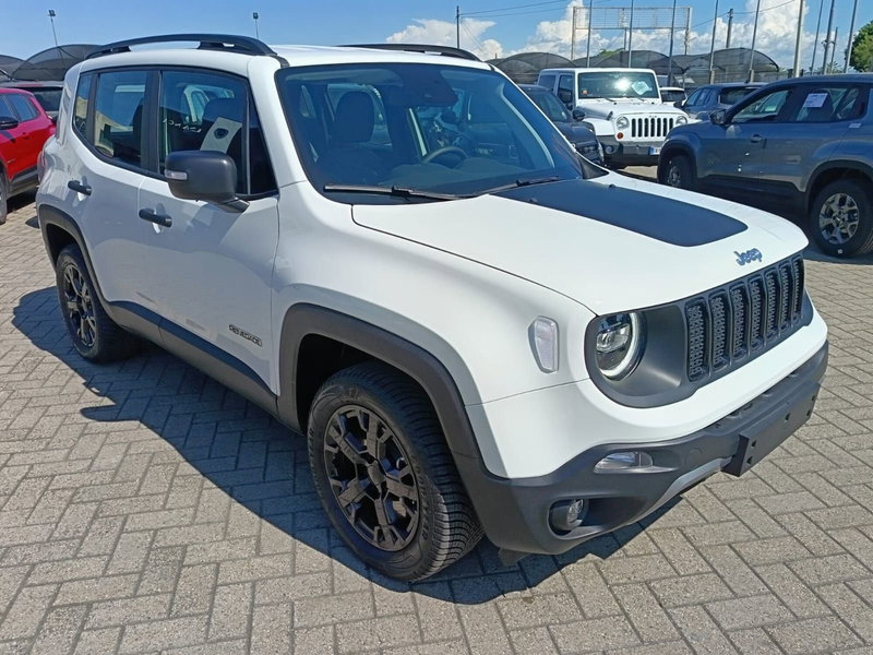 Jeep Renegade usata a Alessandria (3)