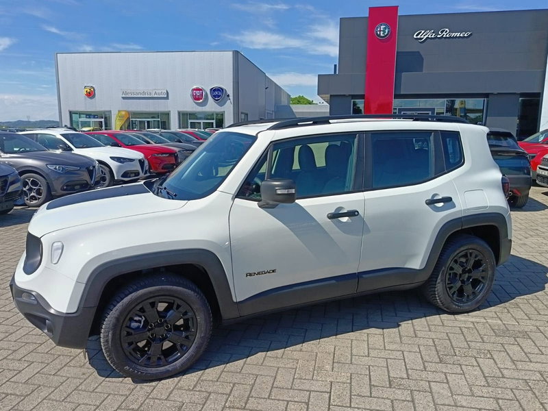 Jeep Renegade usata a Alessandria (8)