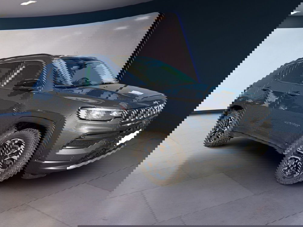 Jeep Compass usata a Torino (3)