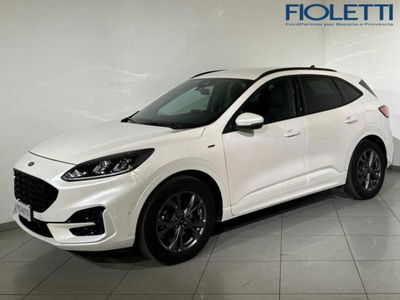 Ford Kuga 1.5 EcoBoost 150 CV 2WD ST-Line del 2021 usata a Desenzano del Garda