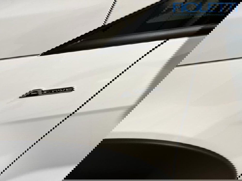 Ford EcoSport usata a Brescia (10)