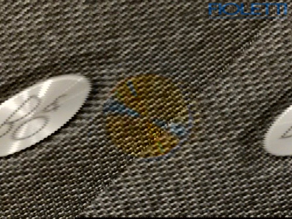 Ford Mustang Mach-E nuova a Brescia (12)