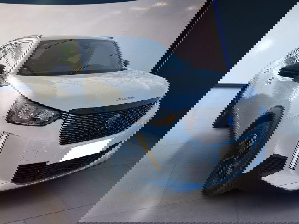 Peugeot 2008 usata a Torino (2)