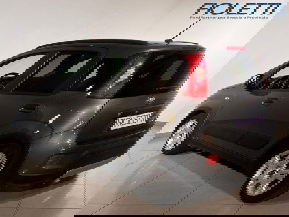 Fiat Panda Cross usata a Brescia (2)