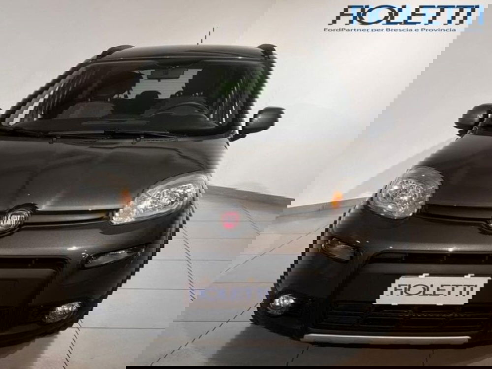 Fiat Panda Cross usata a Brescia (3)