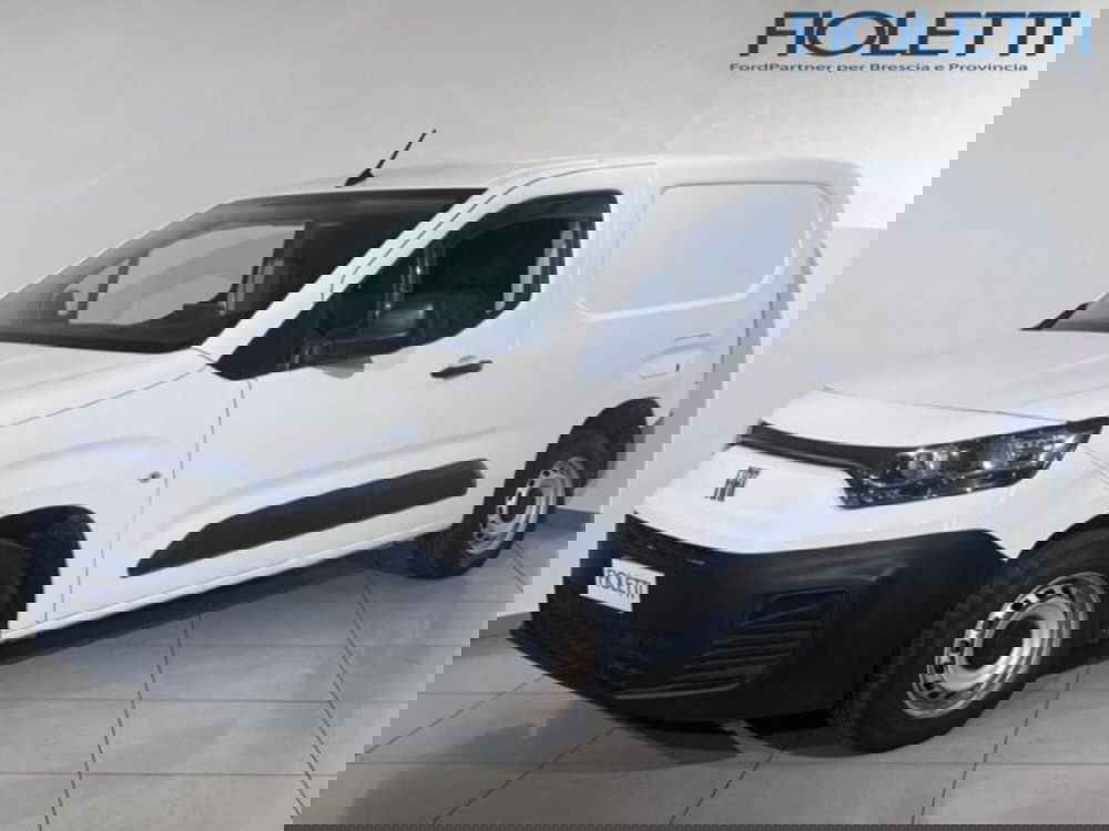 Fiat Doblò Furgone usata a Brescia