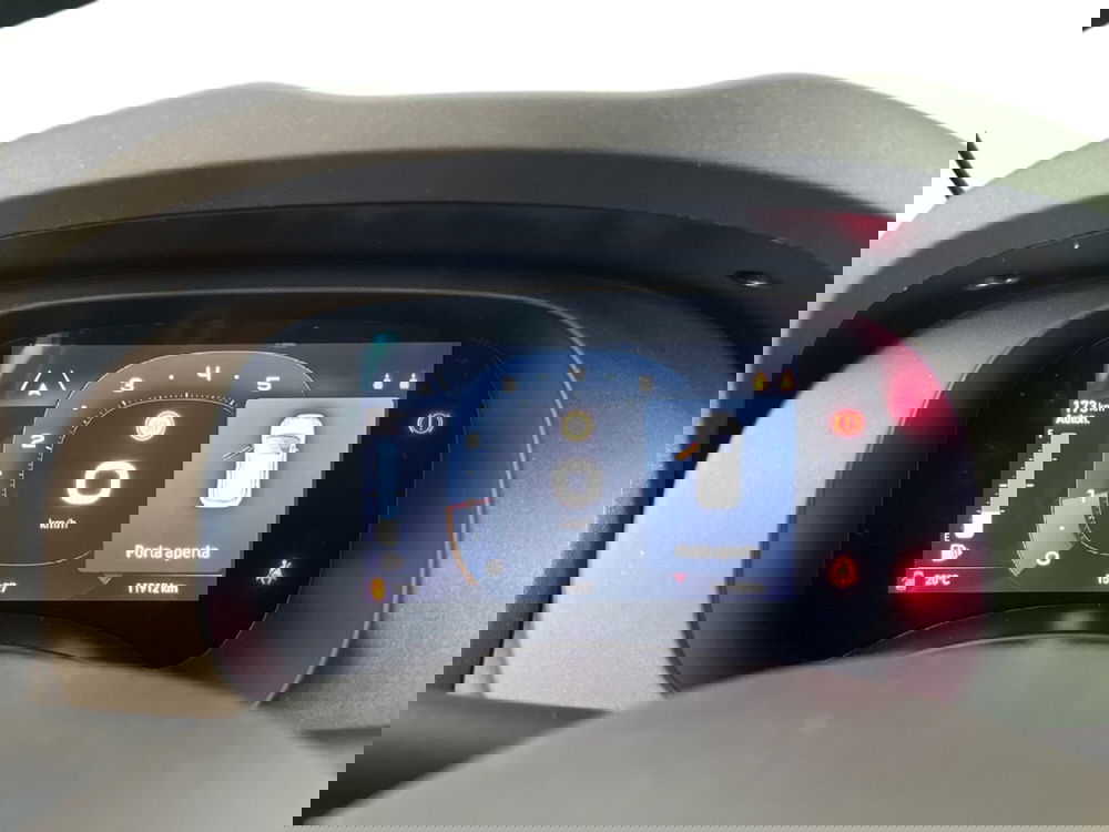 Fiat Panda Cross usata a Torino (14)