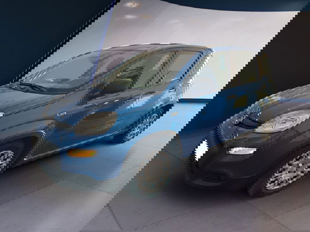 Fiat Panda Cross usata a Torino (2)