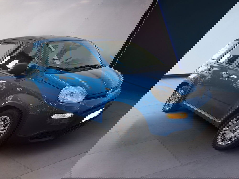 Fiat Panda Cross usata a Torino (3)