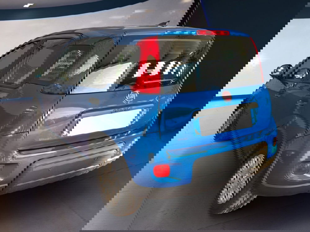 Fiat Panda Cross usata a Torino (6)