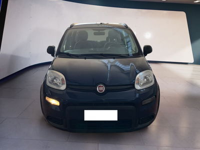 Fiat Panda 1.0 firefly hybrid s&amp;s 70cv 5p.ti del 2021 usata a Torino