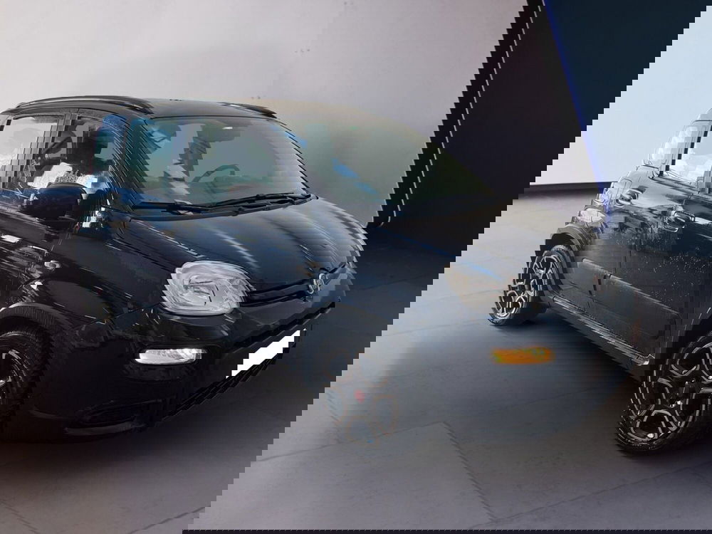 Fiat Panda usata a Torino (3)
