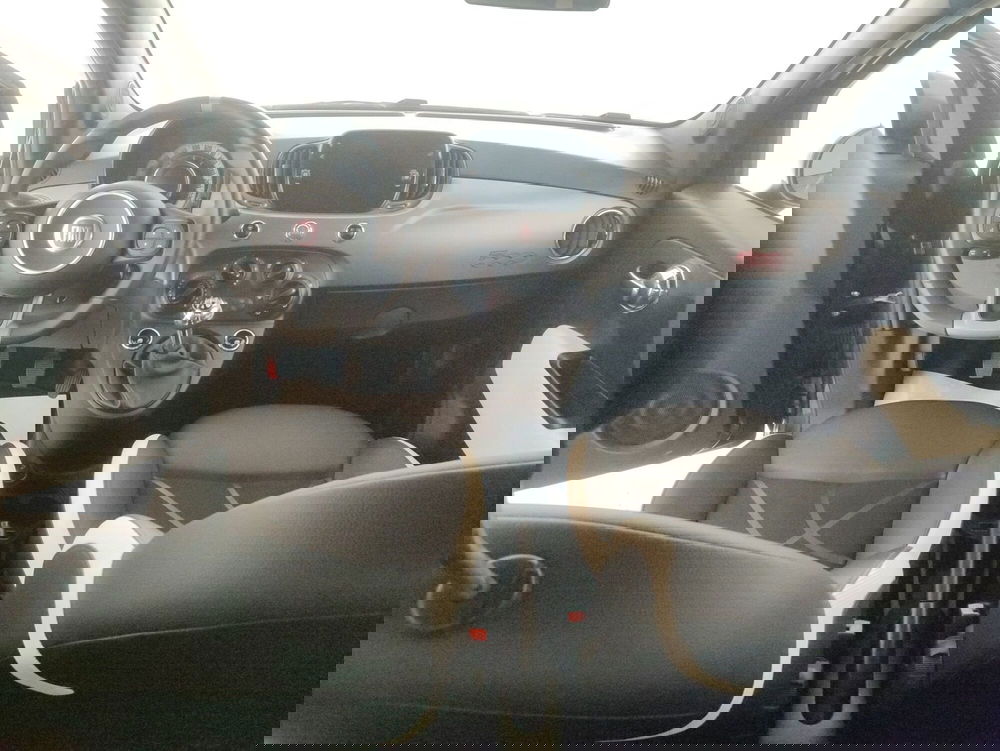 Fiat 500 usata a Torino (8)