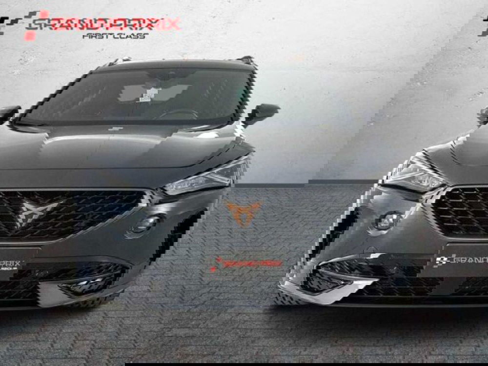 Cupra Formentor usata a Bologna (5)