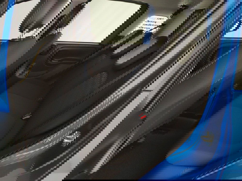 Fiat Panda nuova a Caserta (19)