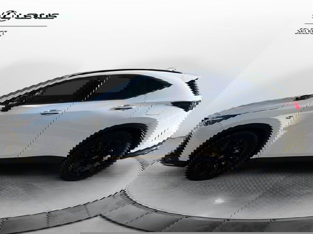 Lexus NX usata a Ragusa (2)