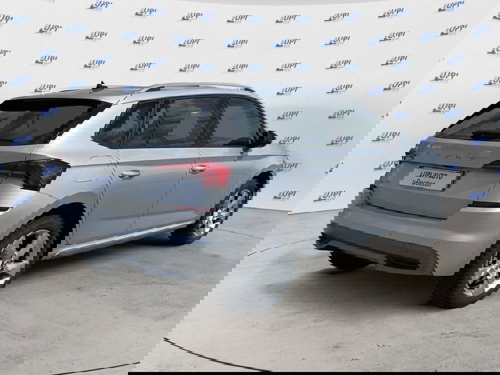 Skoda Kamiq usata a Pistoia (5)