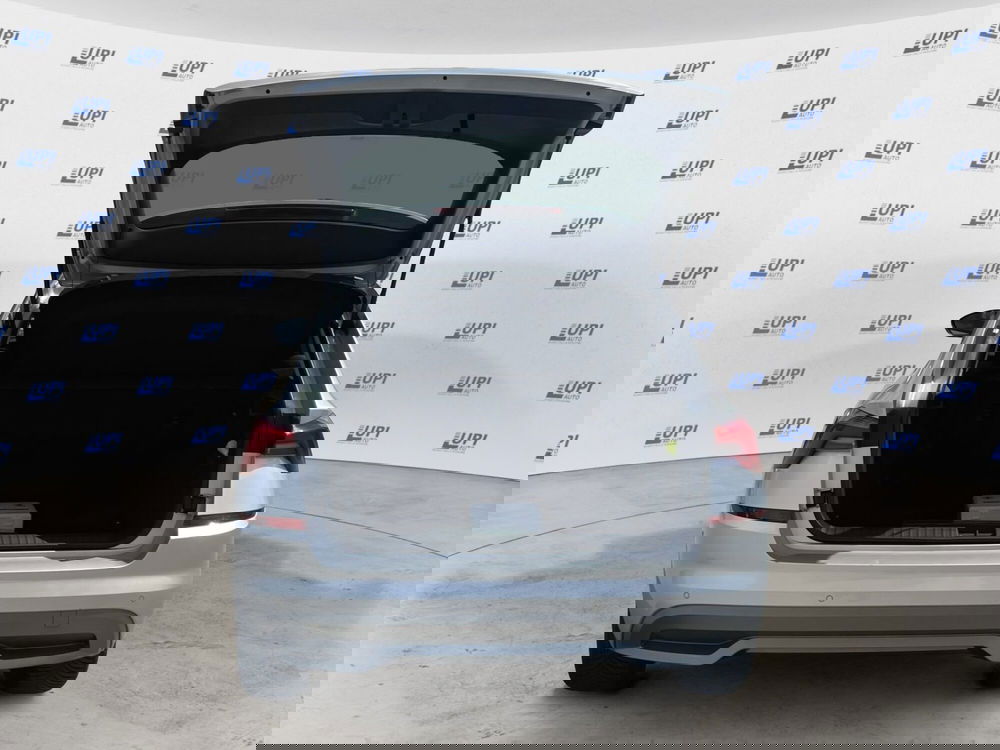 Skoda Kamiq usata a Pistoia (8)