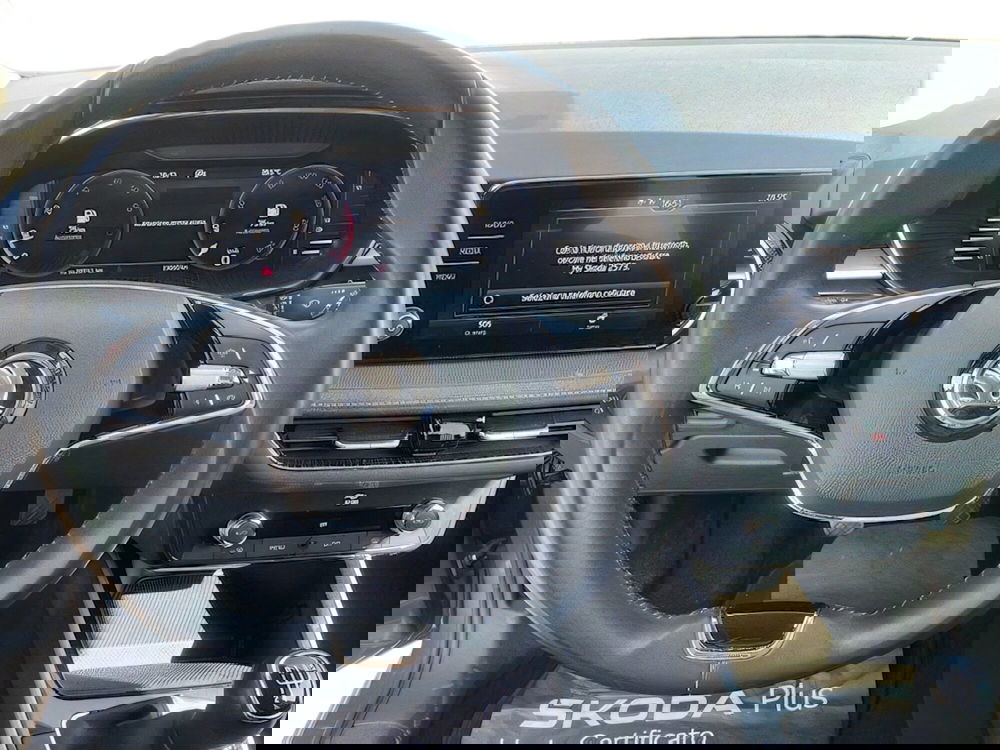 Skoda Fabia usata a Pistoia (12)