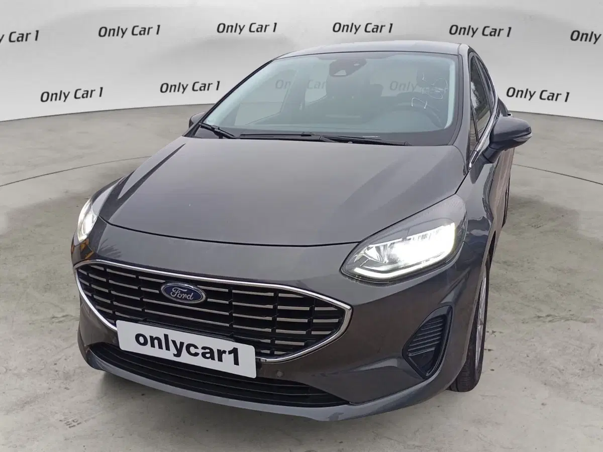 Ford Fiesta usata a Ferrara