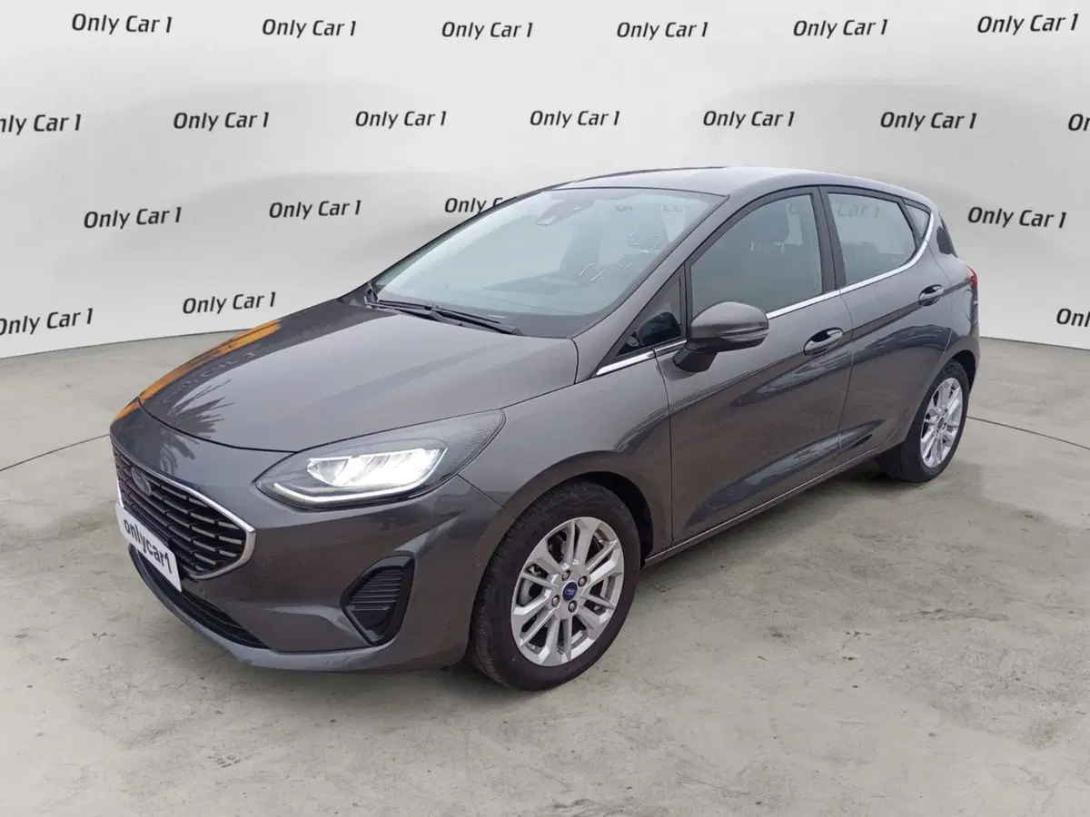 Ford Fiesta usata a Ferrara (2)