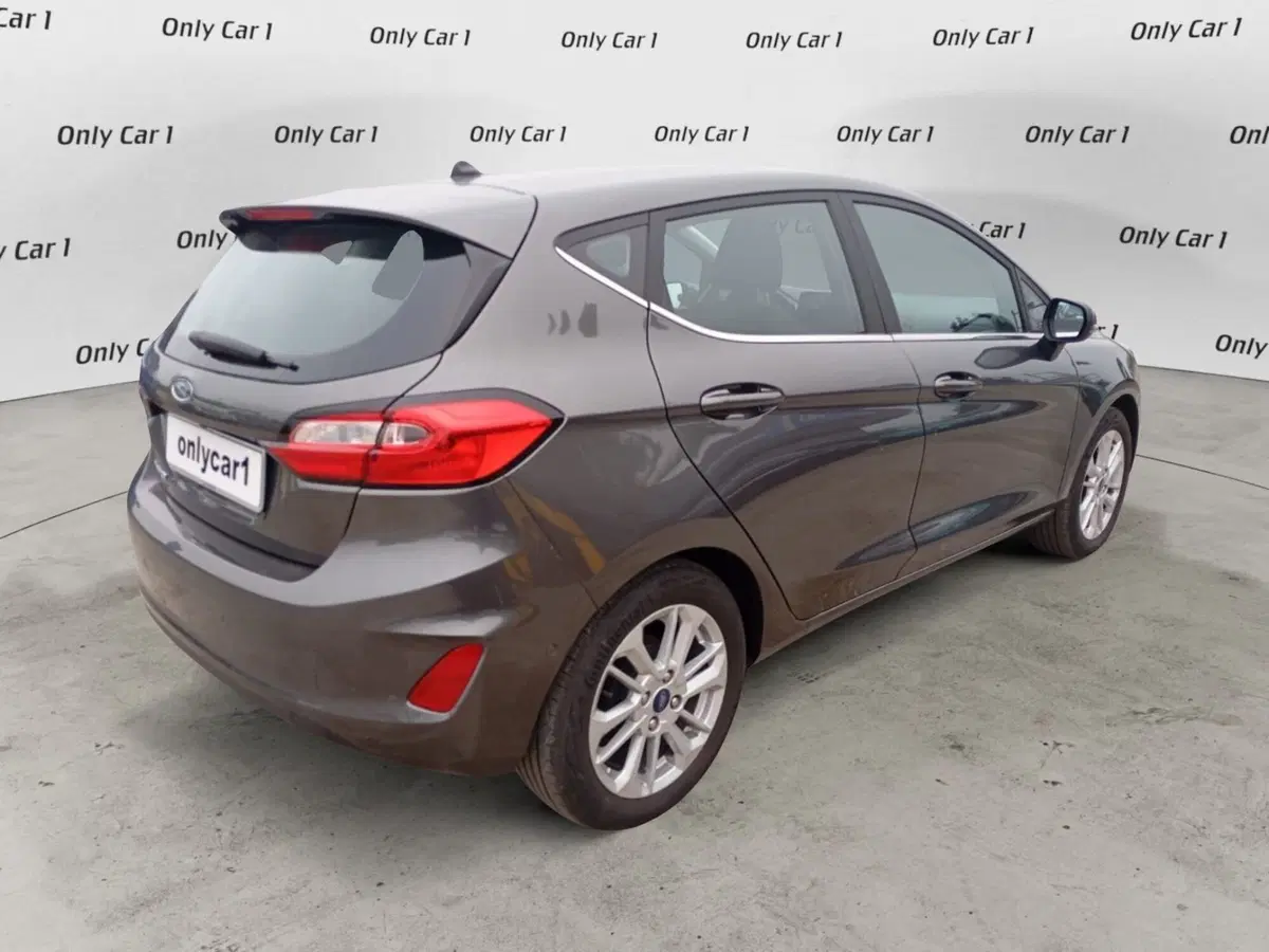 Ford Fiesta usata a Ferrara (7)
