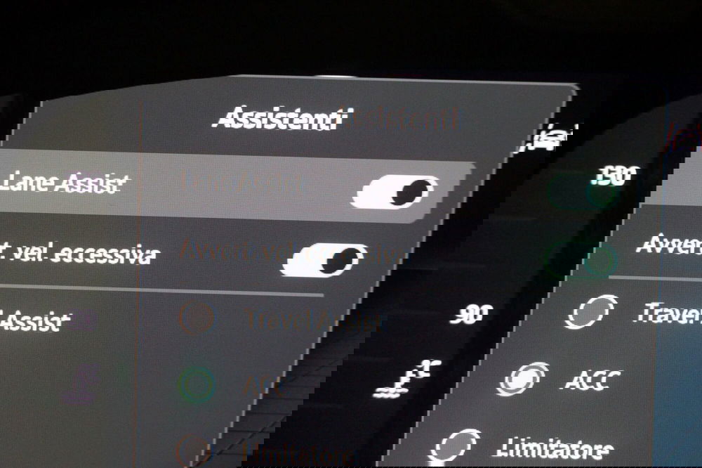 Skoda Octavia Station Wagon usata a Torino (16)