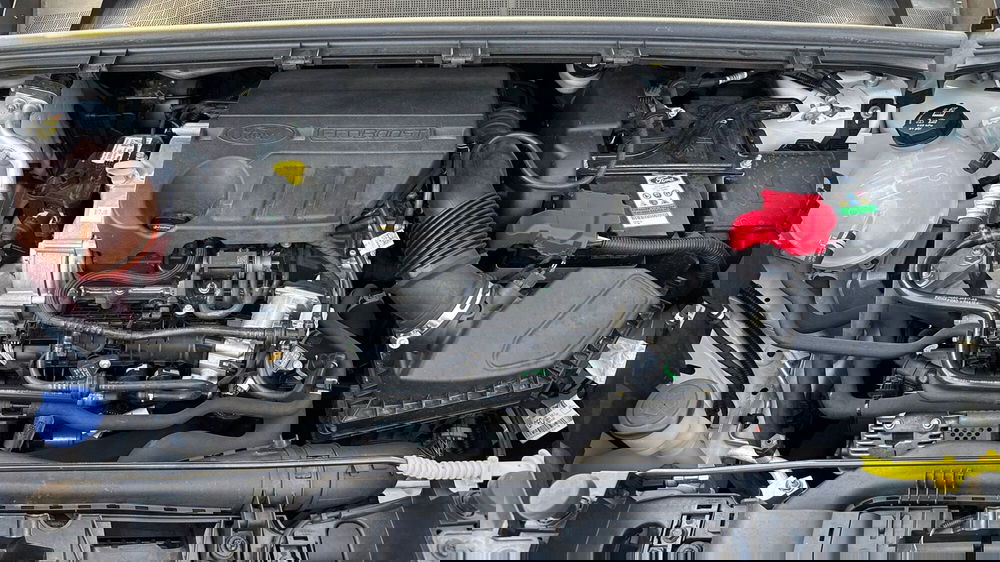 Ford Puma usata a Treviso (20)