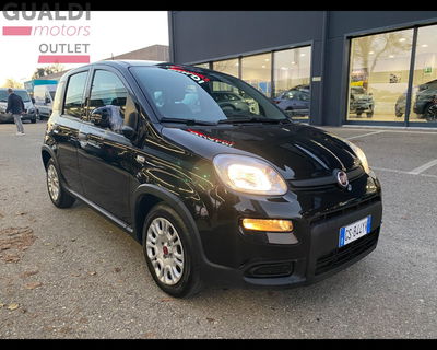 Fiat Panda 1.0 firefly hybrid s&amp;s 70cv 5p.ti del 2024 usata a Mirandola