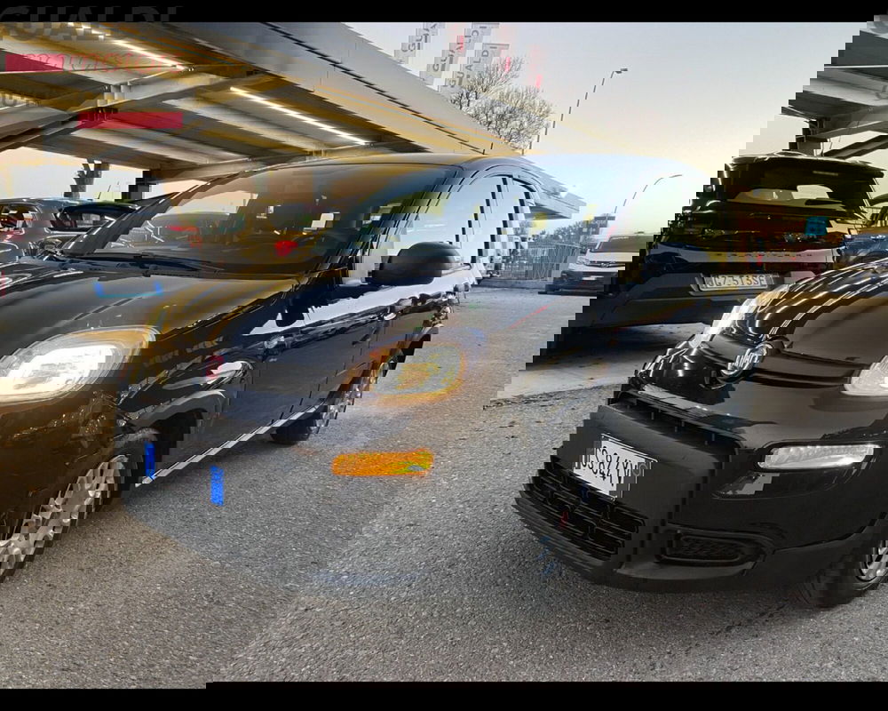 Fiat Panda usata a Modena (15)