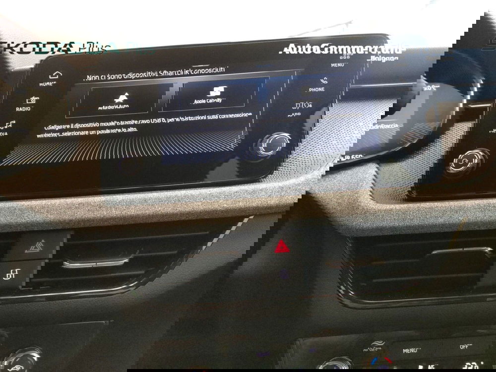 Skoda Kamiq usata a Bologna (13)