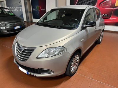Lancia Ypsilon 1.2 69 CV 5 porte Gold del 2014 usata a Altopascio