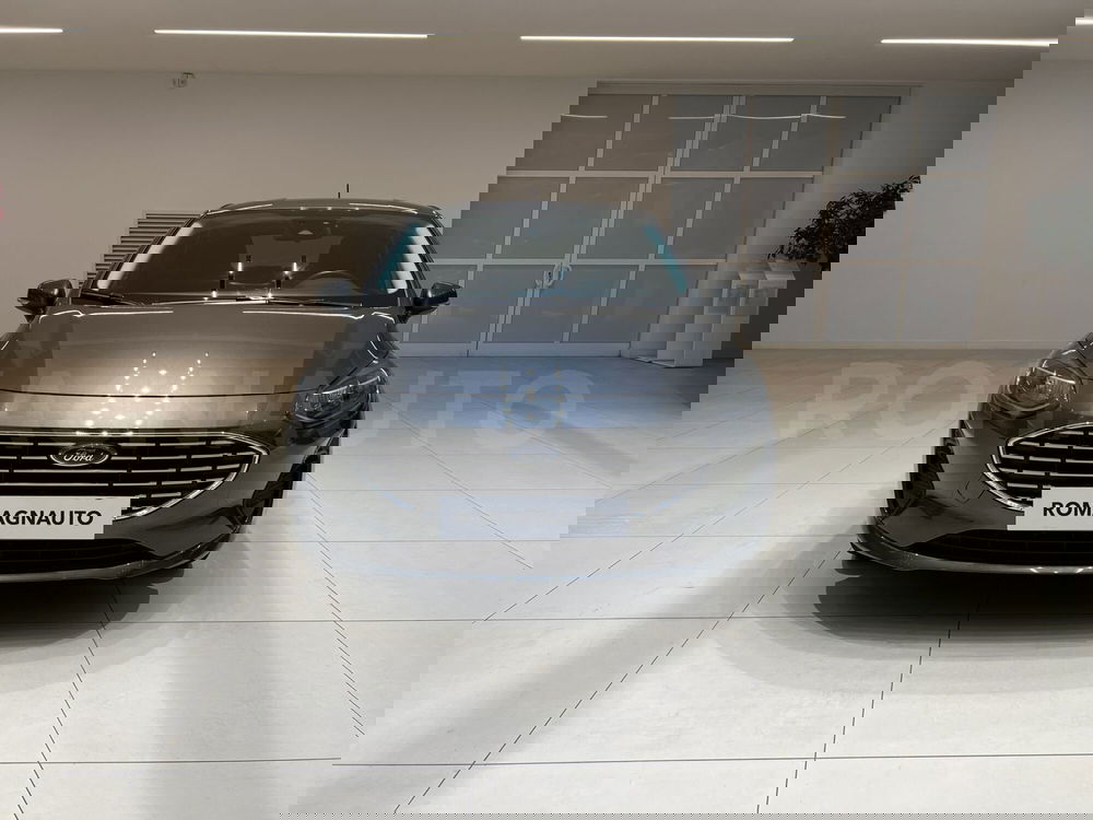 Ford Fiesta usata a Forlì-Cesena (2)