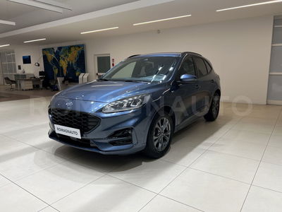 Ford Kuga 1.5 EcoBlue 120 CV 2WD ST-Line del 2021 usata a Forli&#039;