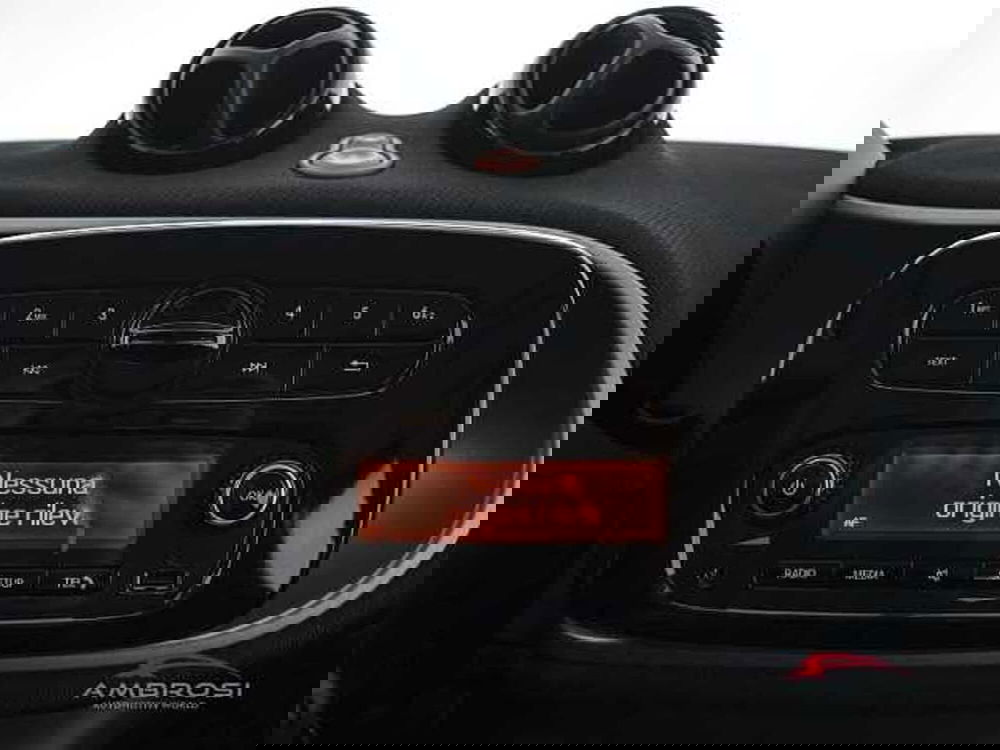 smart forfour usata a Perugia (15)