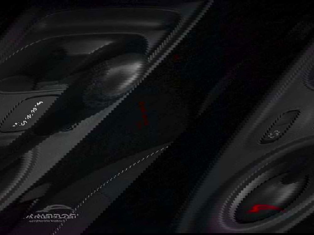 smart forfour usata a Perugia (18)