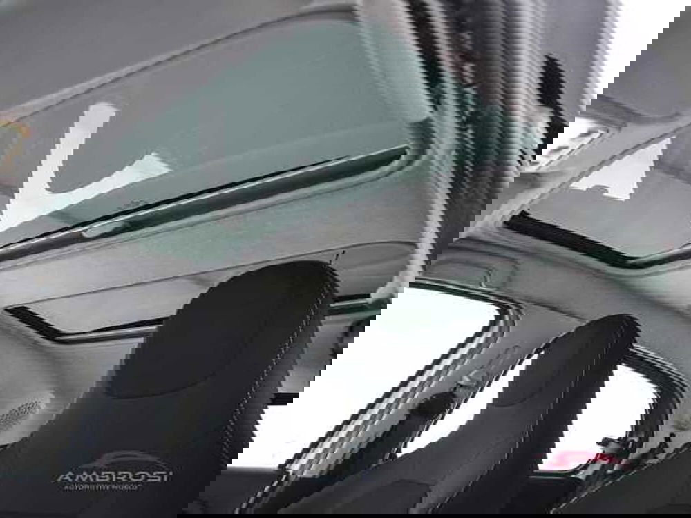 smart forfour usata a Perugia (20)