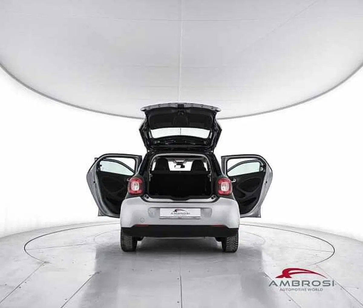 smart forfour usata a Perugia (7)