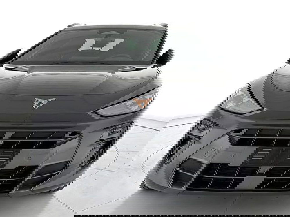 Cupra Terramar usata a Vicenza (2)