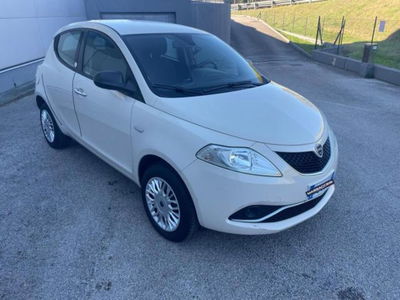 Lancia Ypsilon 0.9 TwinAir 5 porte Metano Ecochic Gold del 2017 usata a Loreto