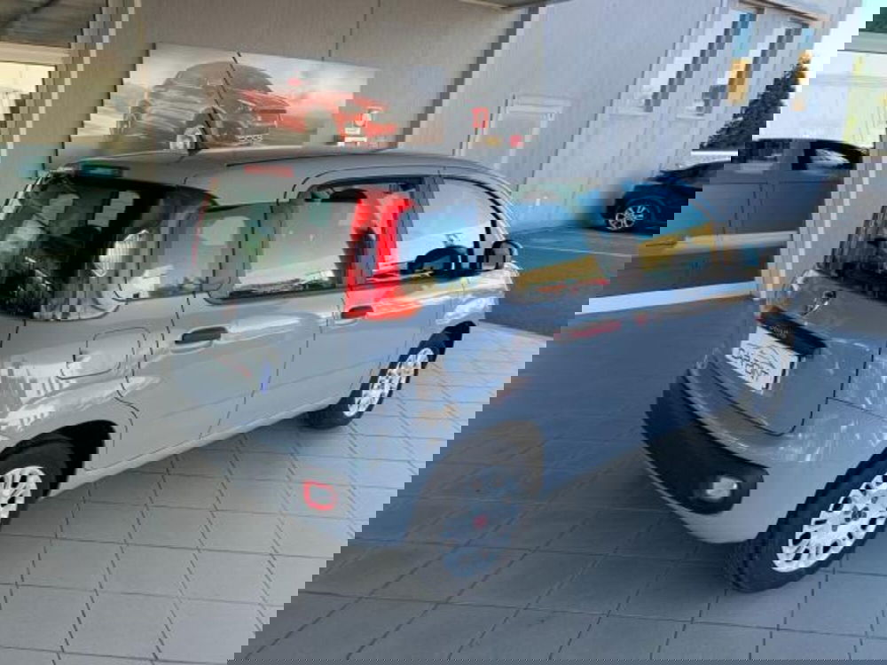 Fiat Panda usata a Trieste (11)