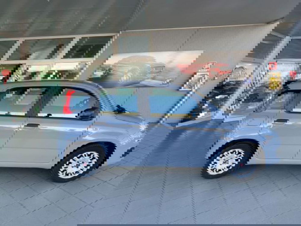 Fiat Panda usata a Trieste (12)