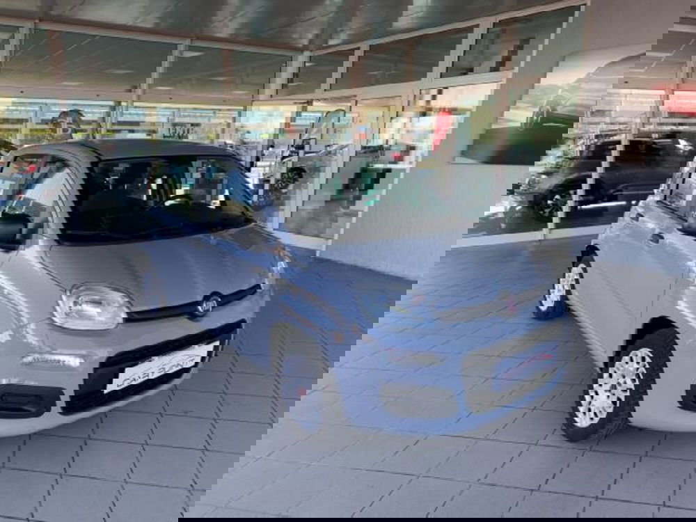 Fiat Panda usata a Trieste (13)