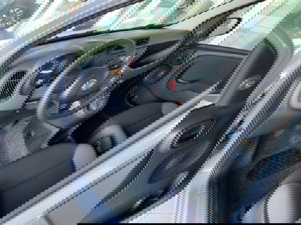 Fiat Panda usata a Trieste (17)