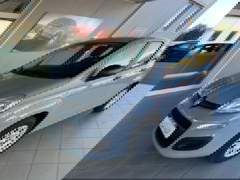 Fiat Panda usata a Trieste (7)