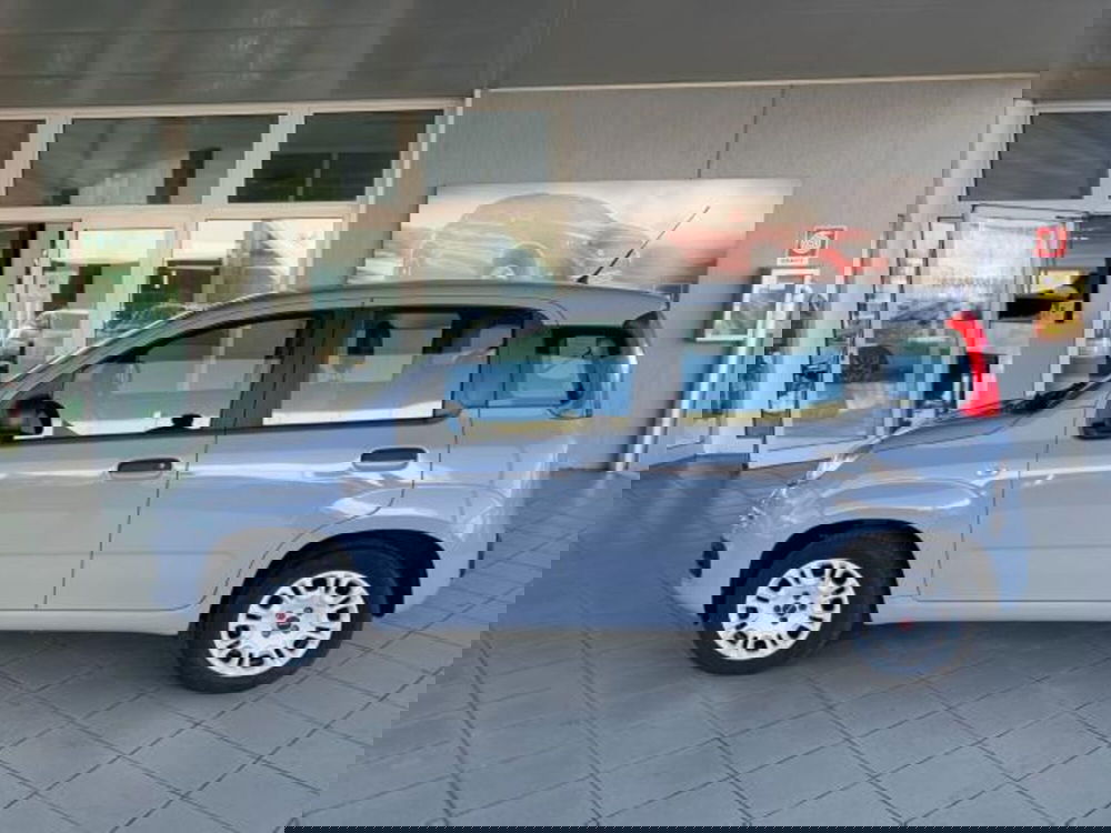 Fiat Panda usata a Trieste (8)