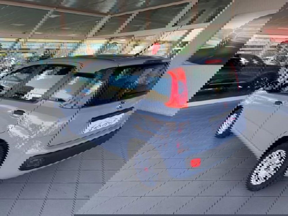 Fiat Panda usata a Trieste (9)