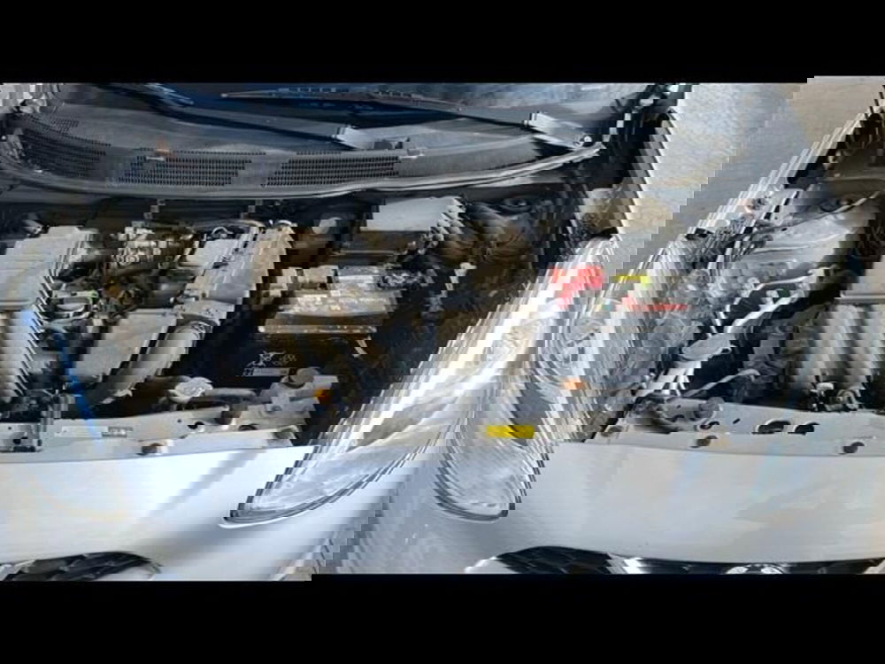 Nissan Micra usata a Firenze (14)