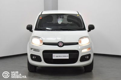 Fiat Panda 0.9 TwinAir Turbo Natural Power Pop Van 2 posti del 2019 usata a Foligno
