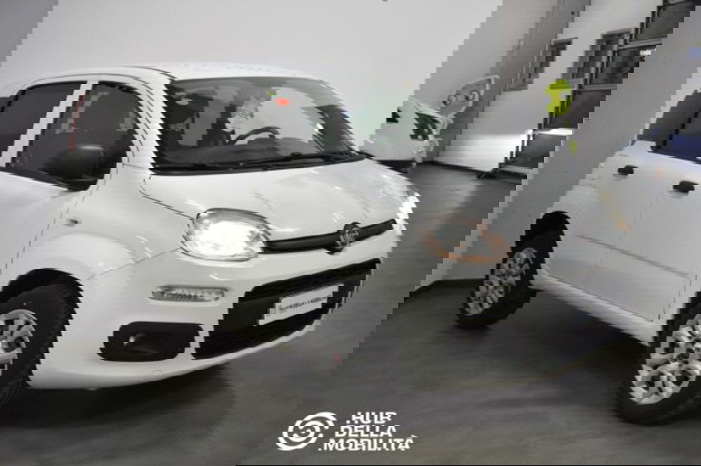 Fiat Panda usata a Perugia (2)